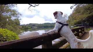 172.秋の【県立有馬富士公園】三田市 湖の周りをゆっくり歩ける自然たっぷりの県立公園✨　藁葺小屋や遊具、芝生広場もあります☆