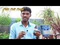 rabbit disease and medicine முயலுக்கு வரும் பிரச்சினை. முயல் மருந்து. how to give medicine.