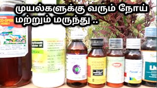 RABBIT DISEASE AND MEDICINE# முயலுக்கு வரும் பிரச்சினை.!! | முயல் மருந்து. How to give medicine.