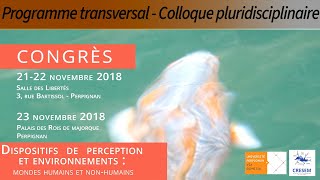 Nature et environnement, des perceptions anciennes à celles d’aujourd’hui - Yvette Veyret