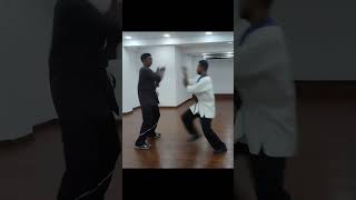 Wing Tsjun - Techniques - 01 #shorts #martialarts #technique #kungfu #fight #fighting #viral #speed