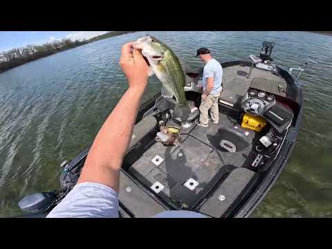 Can you fish at Blackwell Forest Preserve?