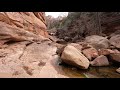 Lower Pine Creek Waterfall Trail at Zion NP