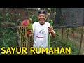 SAYUR MURAHAN, ALHAMDULILLAH ENAK