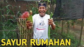 SAYUR MURAHAN, ALHAMDULILLAH ENAK