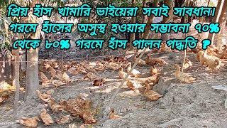 প্রিয় হাঁস খামারি ভাইয়েরা সবাই সাবধান। গরমে হাঁসের অসুস্থ হওয়ার সম্ভাবনা ৭০%থেকে ৮০% গরমে হাঁস পালন