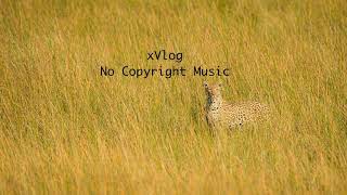MusicbyAden & tubebackr - Limitless | Vlog No Copyright Music