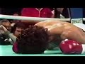 WOW!! WHAT A KNOCKOUT - Danny Lopez vs Juan Malvarez, Full HD Highlights