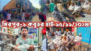 ২৫০ টাকায় রেসার | মিরপুর-১ কবুতর হাট ১৫/১১/২০২৪ | Mirpur-1 kobutor hat Friday episode 04 |