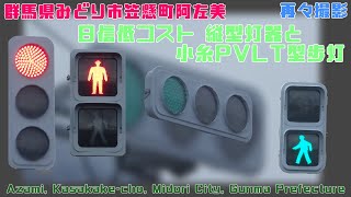 【信号機撮影#695】群馬県みどり市笠懸町阿左美 日信低コスト 縦型灯器と小糸PVTL歩灯(再々撮影)