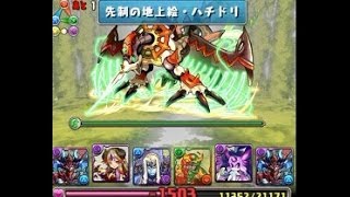 【パズドラ】　地の神秘龍　地獄級　無課金構成 Sランク　【サタンパ】