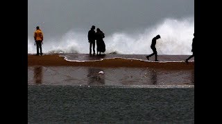 Cyclone Phethai: Andhra Pradesh on high alert, NDRF deployed