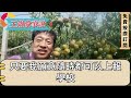 綠茶得知我媽破產改嫁農戶後，學校聯誼會上 站中央在全校面前嘲我個沒爹野種要當一輩子村婦，全校譏諷目光裡 我從容撥出電話，下秒一隊豪車開進 我爸一身西裝摘下墨鏡，幾句話所有人傻眼了 為人處世 養老 中年