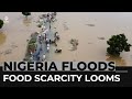 Food scarcity looms in Nigeria as severe floods destroy crops