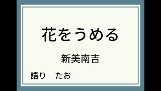 【朗読】花をうめる【新美南吉】