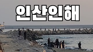 고등어 삼치낚시와 학꽁치 전어들로 인산인해 염전해변