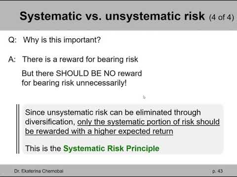What is the systematic risk principle?