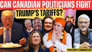 Can Canadian Politicians fight Trump's Tariffs? Tahir Gora's Commentary