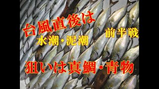 【海釣り情報】台風通過直後は釣れるかぁ！？前半戦