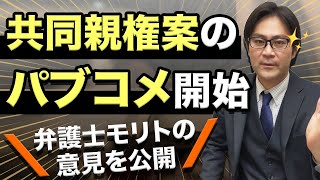 共同親権案の【パブコメ開始】／弁護士モリトの意見を公開！