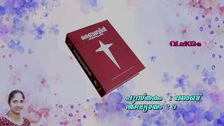 ജോബ് 3 | POC BIBLE പരിഷ്കരിച്ച പതിപ്പ് - മലയാളം ഓഡിയോ ബൈബിൾ | 2024 First Edition