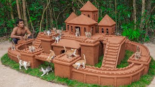 Rescue Kitten Cat Build Great Castle Cat House From Mud
