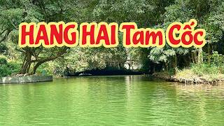 Hang Hai Tam Cốc: Trải Nghiệm Thuyền Nan Luồn Lách Qua Những Vách Đá Kì Thú | Bạch Hoàng Travel