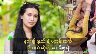 နဂါးမျိုးနွယ် နဲ့ ပဌာန်းဆက် ရှိတယ် ဆိုတဲ့ အေမီဈာန်