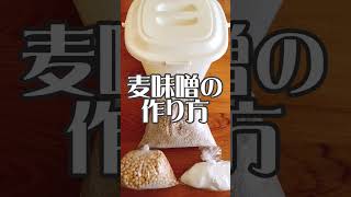 【簡単！混ぜるだけ】麦味噌の作り方 #shorts #味噌作り #麦味噌作り #味噌仕込み