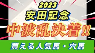 【安田記念2023】この人気馬と穴馬で『中波乱決着』になると予想‼️