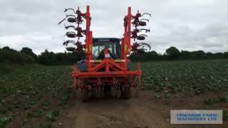 Inter Row Cultivator