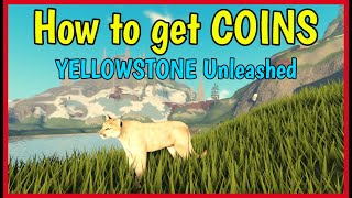 How to get COINS Fast in YELLOWSTONE UNLEASHED Roblox