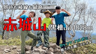 【赤城山】日帰り登山にちょうど良い黒檜山～駒ヶ岳　子供達も楽しく登れる山