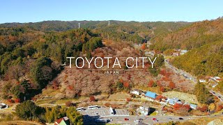 Shikizakura, Toyota City ・ The Rare Fall-Blooming Cherry Blossoms of Obara