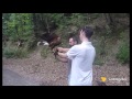 lobagola tours falconry tour medvednica 20 08 2016