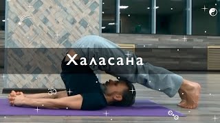 Халасана, Волшебная асана, вариант для начинающих