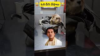 ఓరి దీని వేషాలు 😆😆🤣🤣#trending #trendingshorts #funny #funnyvideo