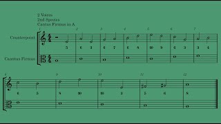 Fux Counterpoint. 2 Voices 2nd Species (Cantus Firmus A, lower part)