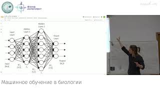 Дианкин И.Д. - Машинное обучение в биологии. Лекции - 8. Нейронные сети