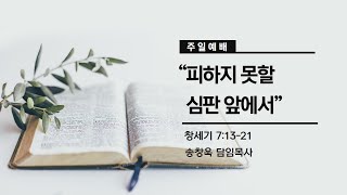 양지제일교회 실시간 주일2부예배 [2025.1.26]