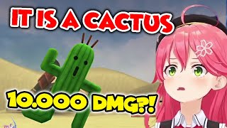 Miko meets the legendary cactus \