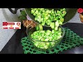 රසට පාටට විනාඩි 2 න් සුපිරියට හදන පොප්කෝර්න් popcorn recipe sinhala y a kitchen