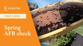 Trevs Bees - Spring AFB check, Spring clean, Remove MAQS and putting an extra box on.