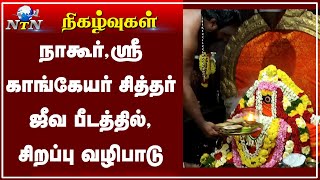 நாகூர் ஸ்ரீ காங்கேய சித்தர் பீடத்தில் அன்னாபிஷேகம் - பெளர்ணமி வேள்வி...