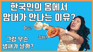 한국인의 몸에서 암내가 안나는 이유! 그럼 무슨 냄새가 날까?!｜오늘은? 건강편! ep.01