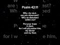 Psalms 42:11 verse of the day