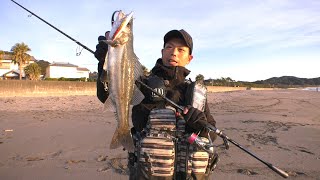 千葉県南房・和田浦のサーフゲーム 〜FISHING DOOR 〜