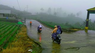 Kabut Turun Di Pedesaan, Udaranya Sejuk, Ayem Tentram Dan Damai | Suasana Pedesaan Sunda Jawa Barat