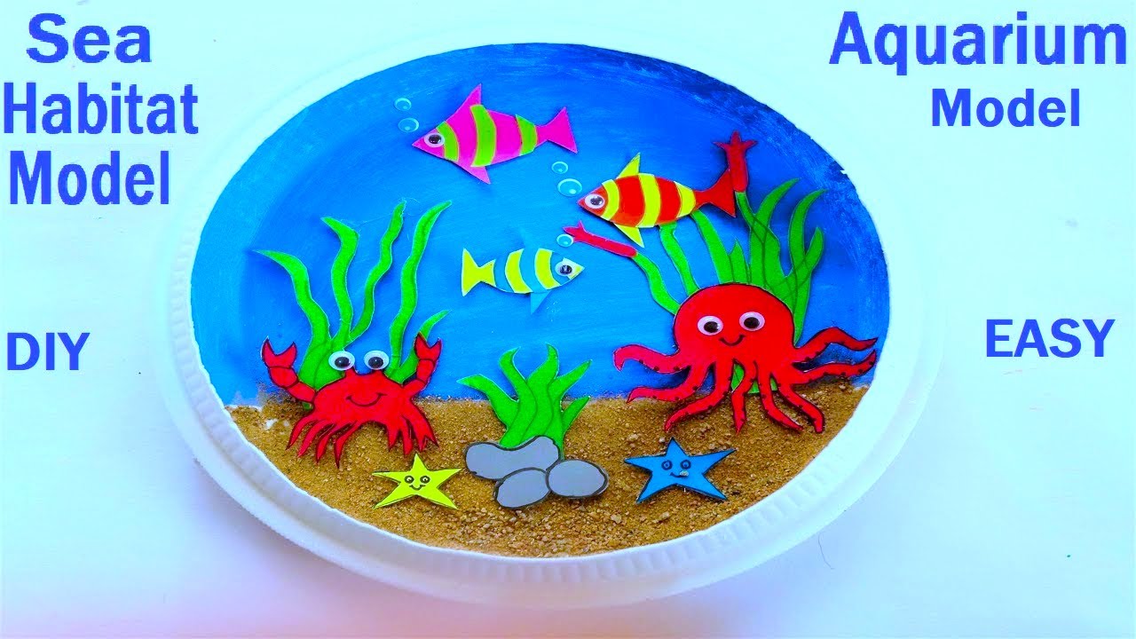 Ocean Habitat Project Ideas For Elementary Students Infoupdate Org