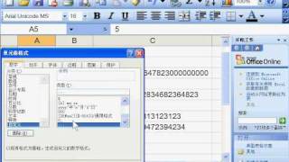 郭安定：Excel 2003 实用基础 02-01 特殊单元格的格式